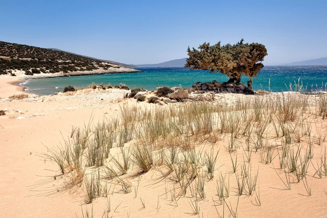 Ναξός