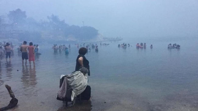 Νέα μήνυση της Βαρβάρας Φύτρου για το Μάτι κατά του αρχηγού της Π.Υ