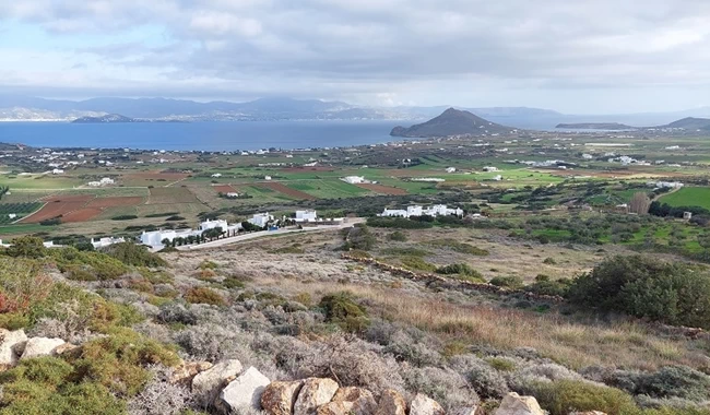 παρος καιλι