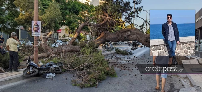 ΚΡΗΤΗ ΔΕΝΤΡΟ