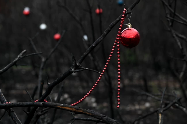 Αχτίδα φωτός: Οι κάτοικοι στόλισαν χριστουγεννιάτικα τα καμένα δέντρα στη Βαρυμπόμπη [εικόνες]
