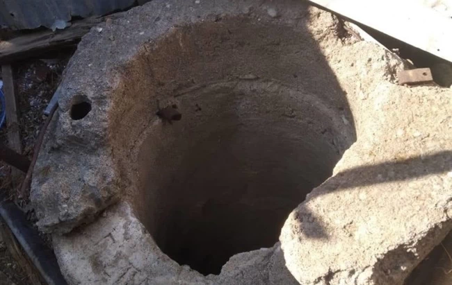 ΣΚΥΛΟΣ ΠΗΓΑΔΙ ΡΟΔΟΣ