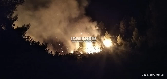 Φωτιά στο Μαρτίνο
