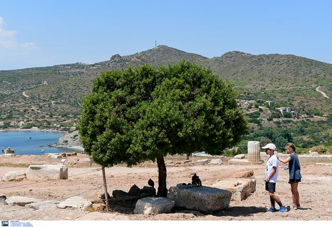 σουνιο