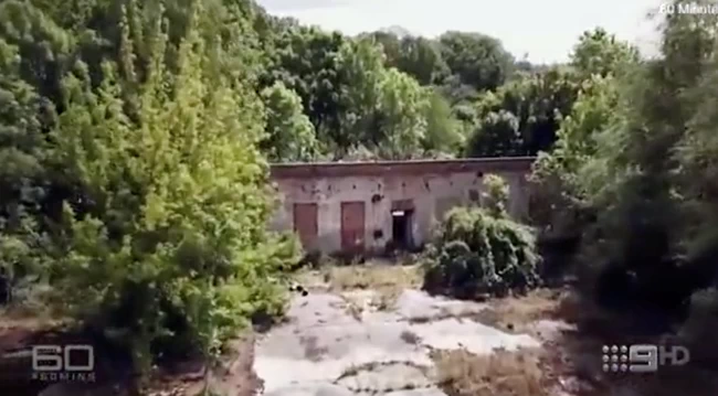 μαντλίν