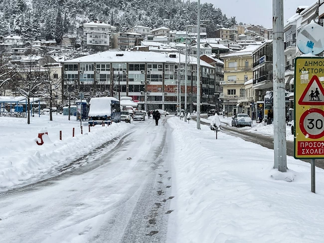 ΚΑΣΤΟΡΙΑ ΧΙΟΝΙΑ