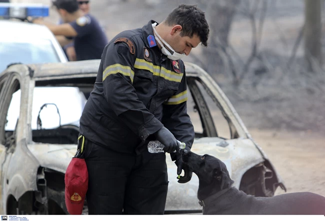 τραγωδία στο Μάτι