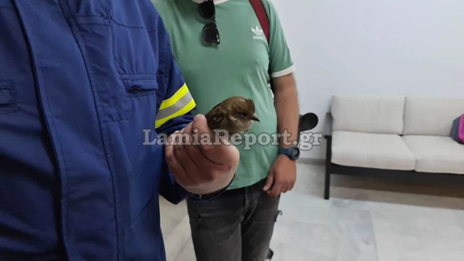 Σπουργίτι