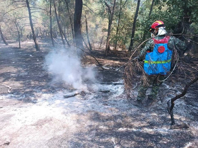 Φωτιά στο δάσος της Δαδιάς