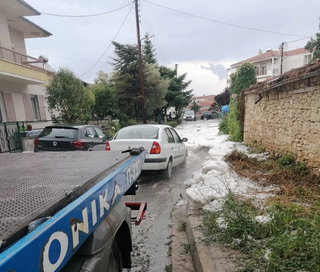 ςεε