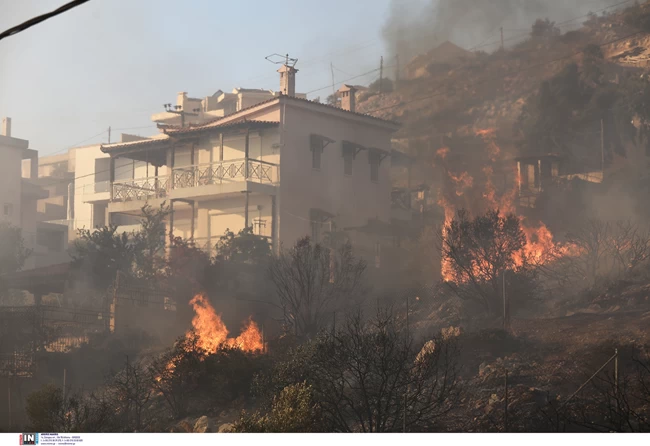 ΦΩΤΙΑ ΣΑΡΩΝΙΔΑ ΛΑΓΟΝΗΣΙ