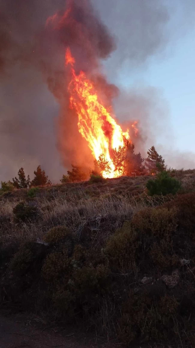 ΦΩΤΙΑ ΡΟΔΟΣ