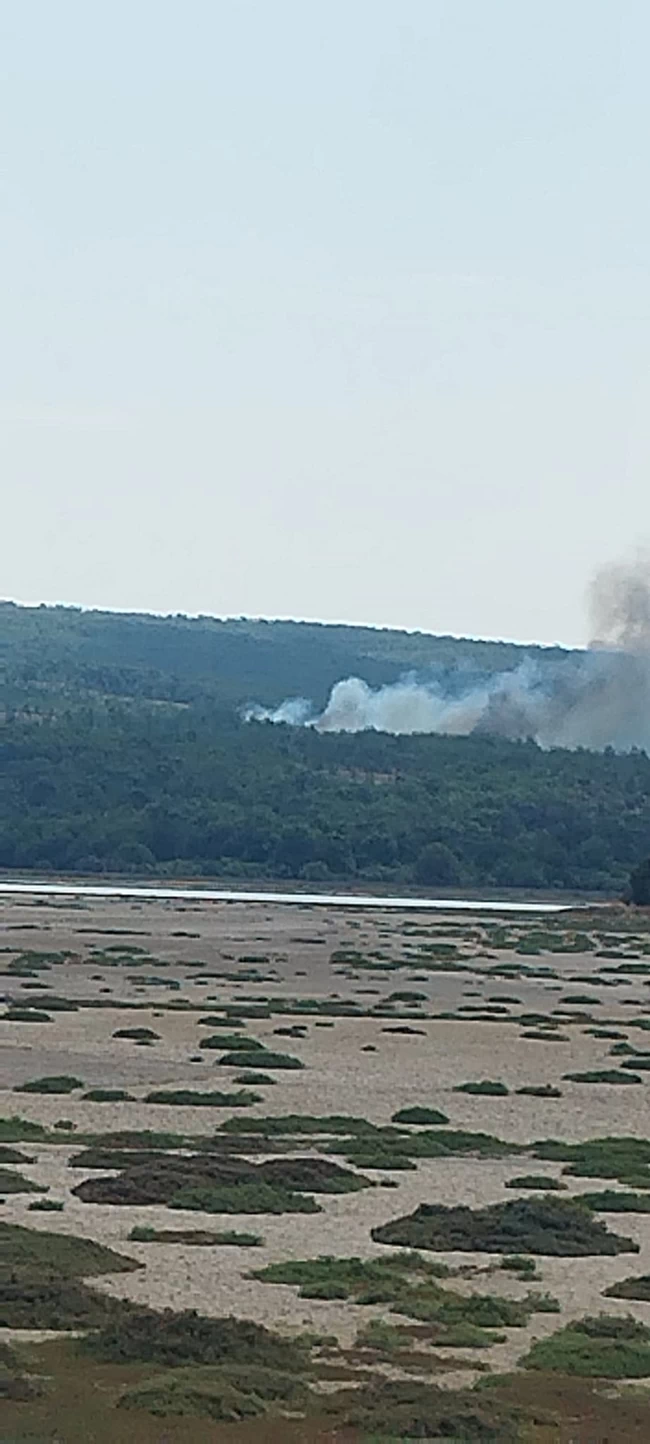 ΦΩΤΙΑ ΛΕΣΒΟΣ