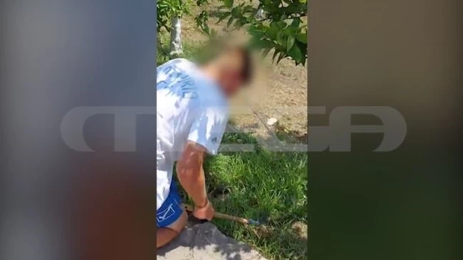 ΚΙΒΩΤΟΣ ΤΟΥ ΚΟΣΜΟΥ