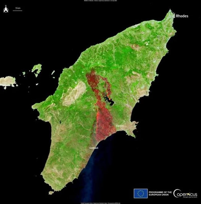 ΡΟΔΟΣ ΔΟΡΥΦΟΡΙΚΕΣ