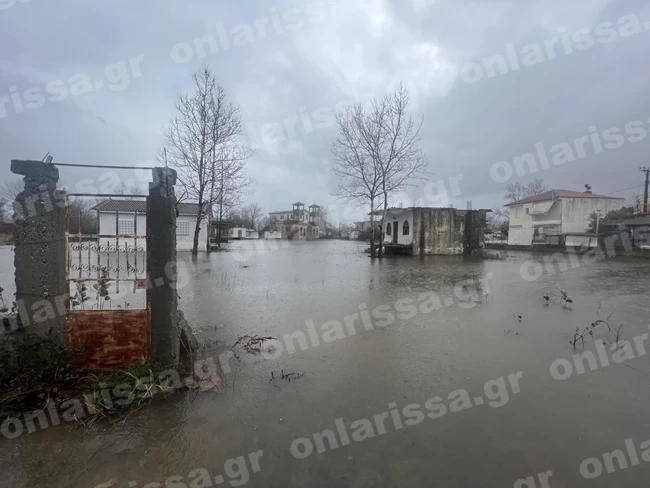 ΛΑΡΙΣΑ_ΖΗΜΙΕΣ