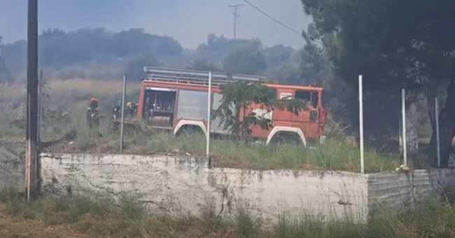 ΦΩΤΙΑ ΣΑΜΟΣ