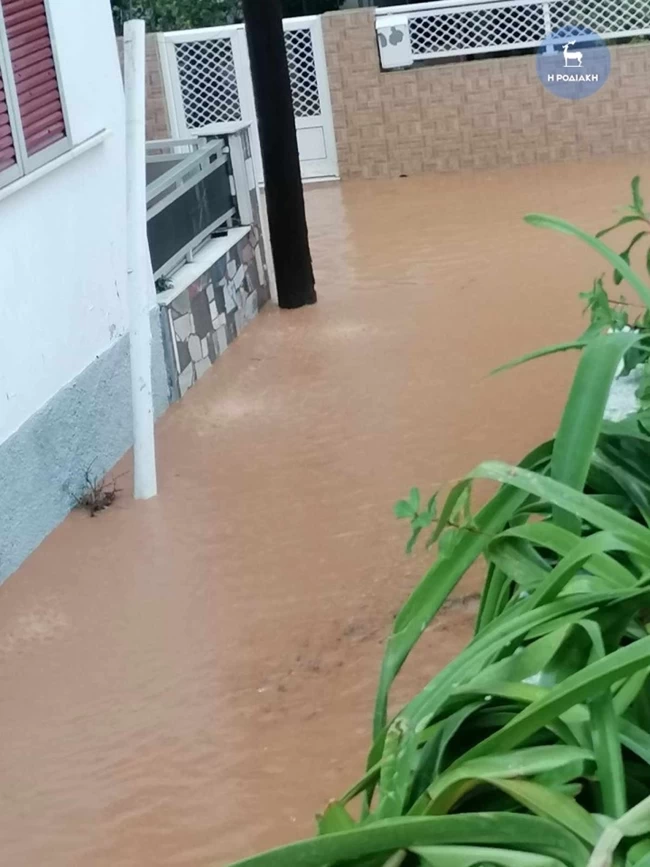 ΡΟΔΟΣ ΠΛΗΜΜΥΡΕΣ