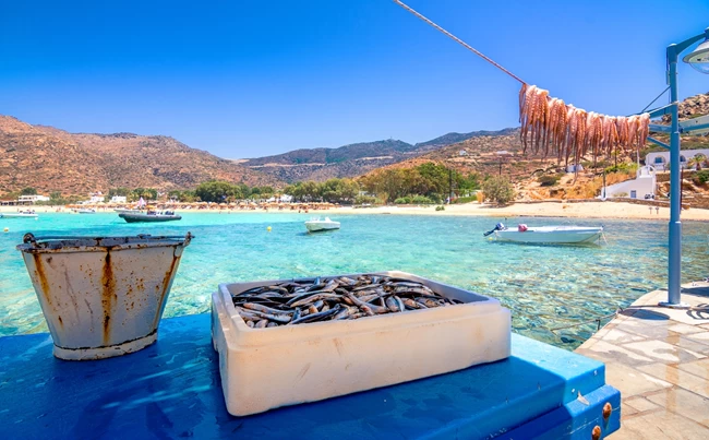 ΝΗΣΙ