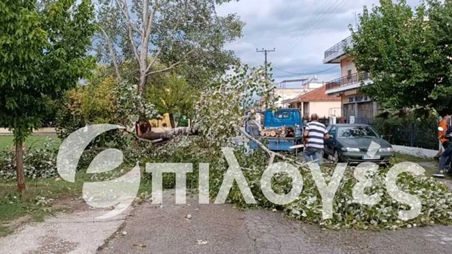 καταστροφες