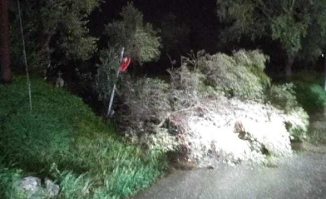 ΥΔΡΟΣΤΡΟΒΙΛΟΣ ΖΑΚΥΝΘΟΣ.