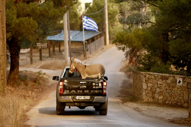 τατοι