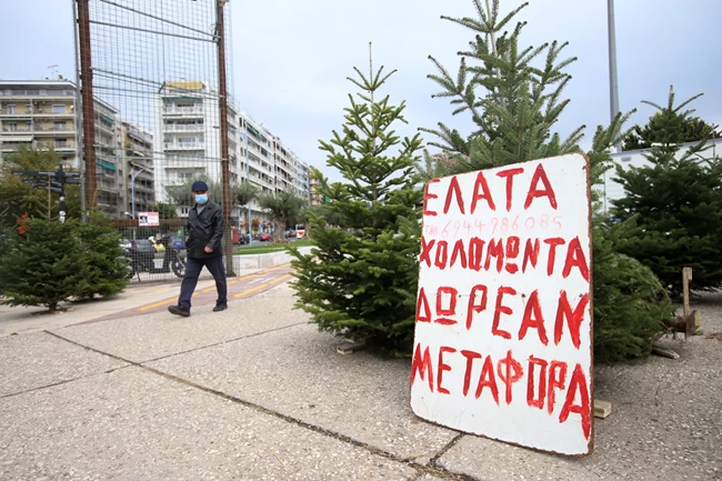 Χριστουγεννιάτικα έλατα