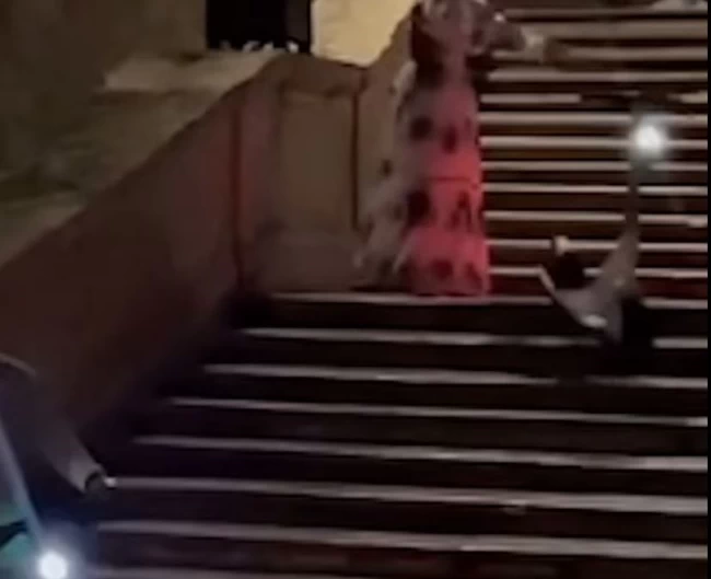 ΡΩΜΗ ΣΚΑΛΙΝΑΤΑ