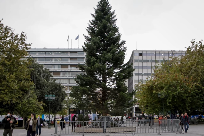 Χριστουγεννιάτικο δέντρο