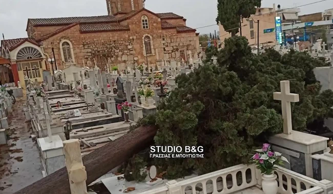 ΚΑΤΑΙΓΙΔΑ ΝΑΥΠΛΙΟ