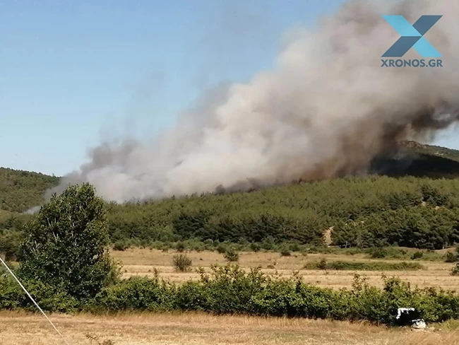 Συναγερμός για μεγάλη φωτιά στις Σάπες Ροδόπης - Εκκενώνεται οικισμός [Εικόνες-Βίντεο]