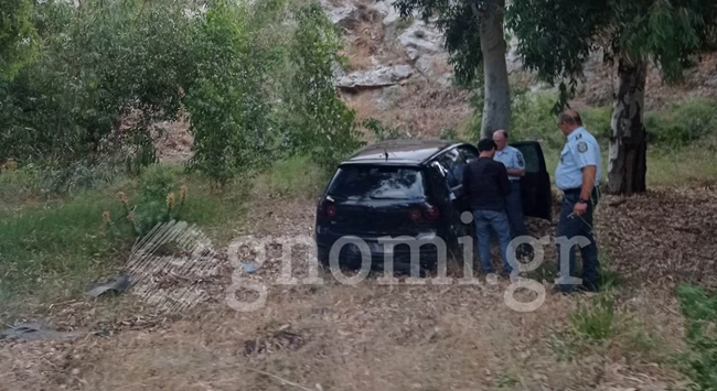 ΝΤΑΛΙΚΑ ΧΑΛΚΙΔΑ