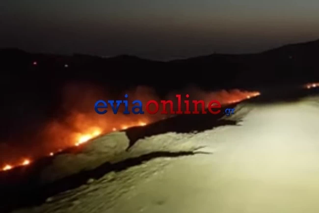 Ωρες αγωνίας για τη φωτιά στην Κάρυστο: Μάχη με τις φλόγες στον Πλατανιστό - Αγνοείται κτηνοτρόφος