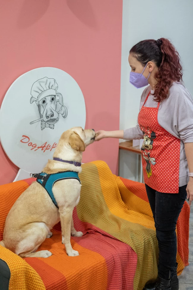 ΖΑΧΑΡΟΠΛΑΣΤΕΙΟ ΣΚΥΛΟΙ