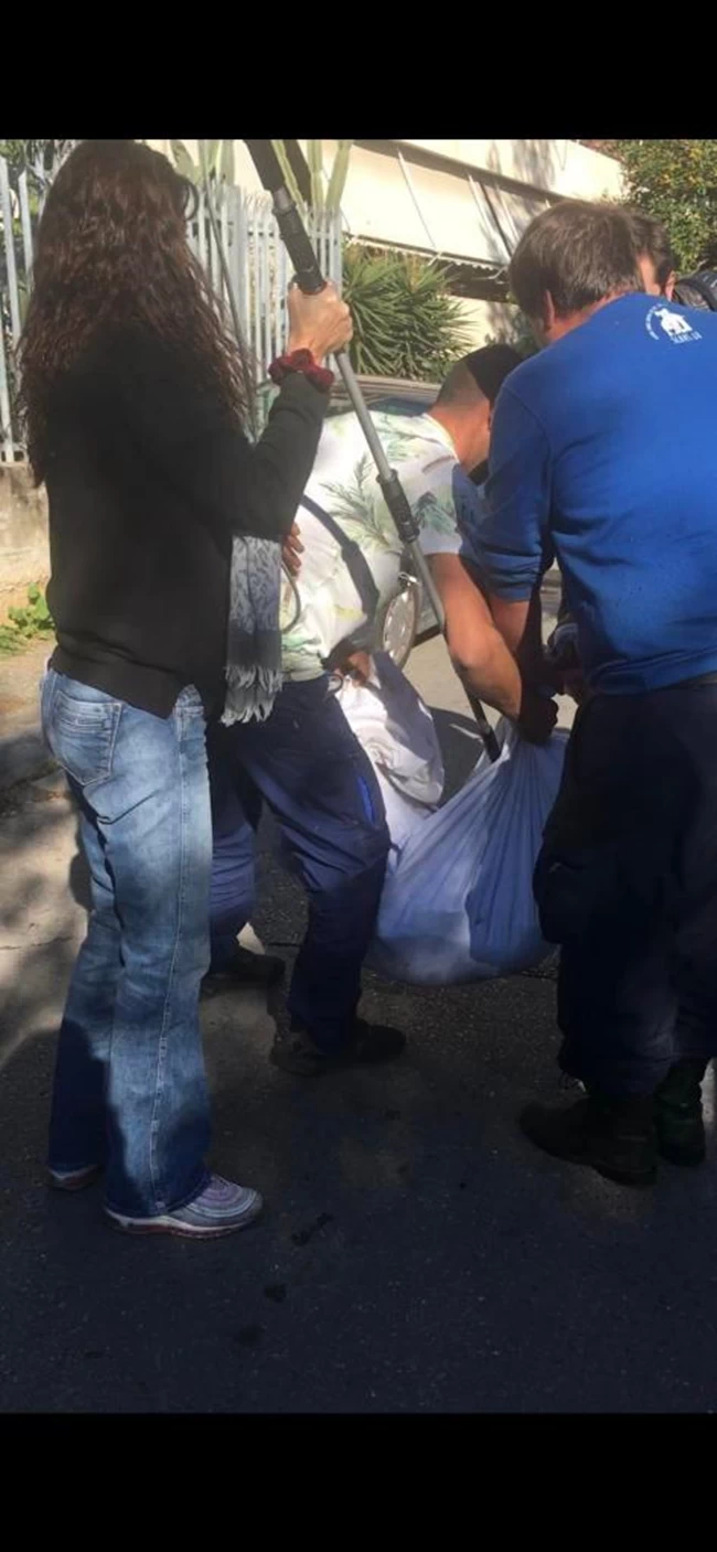 Διάσωση Γουρουνάκι