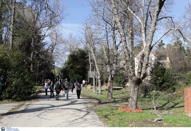 τατοι