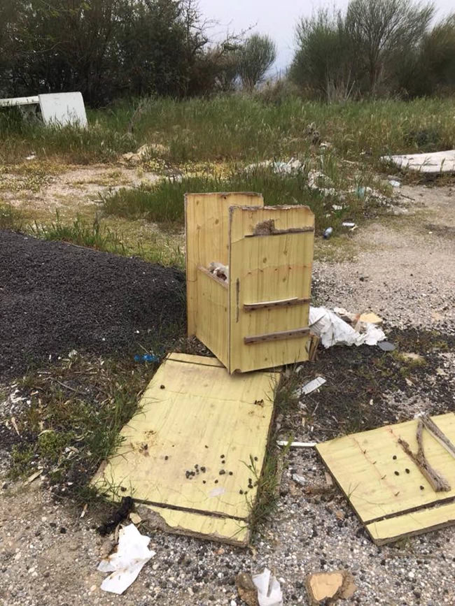 Δυόνισος