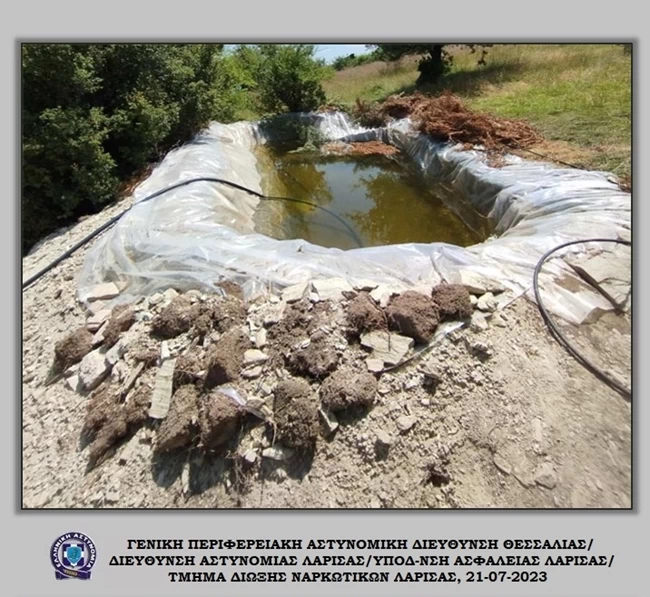 ΦΥΤΕΙΑ ΧΑΣΙΣ ΛΑΡΙΣΑ