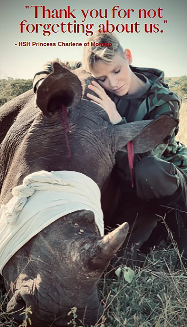 princess charlene
