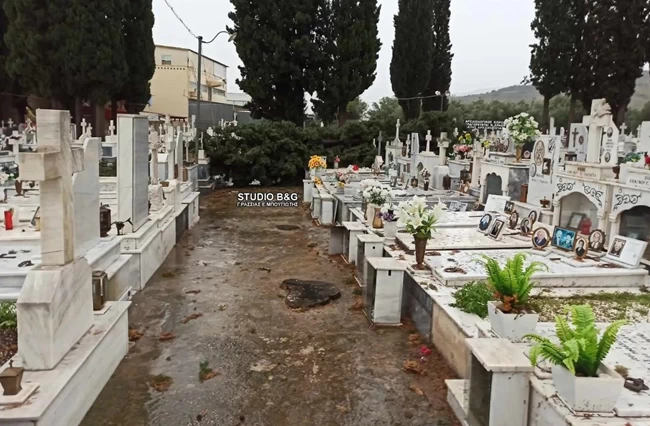 ΚΑΤΑΙΓΙΔΑ ΝΑΥΠΛΙΟ