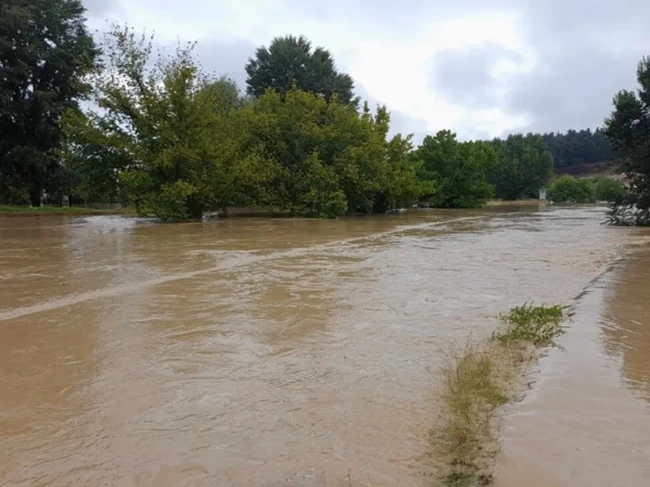 ΤΡΙΚΑΛΑ ΖΗΜΙΕΣ