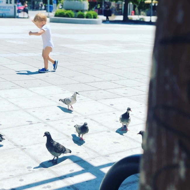 αναστασης