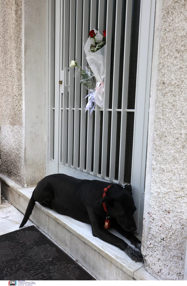 Μίκης Θεοδωράκης: Η συγκινητική εικόνα του σκύλου του - Θρηνεί στο πλατύσκαλο του σπιτιού