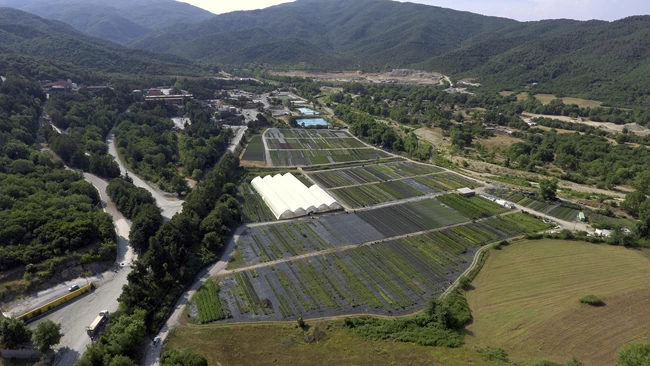 Ελληνικός Χρυσός: Υπεύθυνη ανάπτυξη με πολλαπλά οφέλη για το περιβάλλον και την κοινωνία