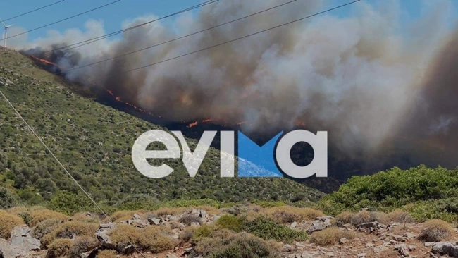 εύβοια φωτιά