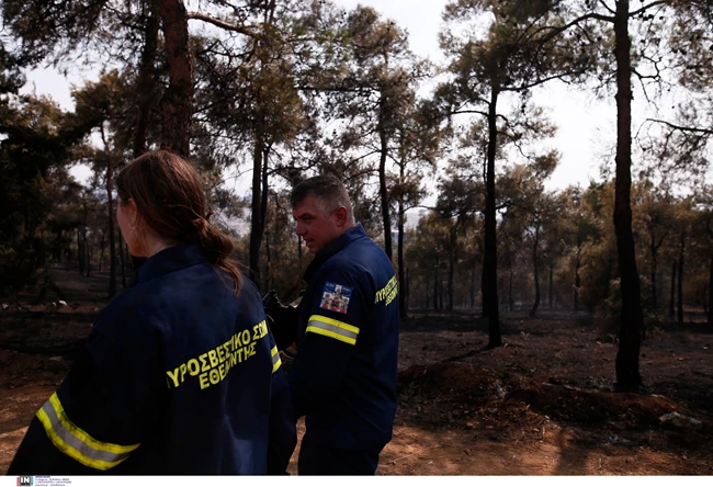 Θεσσαλονίκη: Σε επιφυλακή η πυροσβεστική στο Σεΐχ Σου - Υπό μερικό έλεγχο η φωτιά