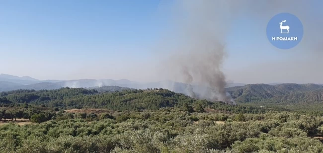 ΦΩΤΙΑ ΡΟΔΟΣ