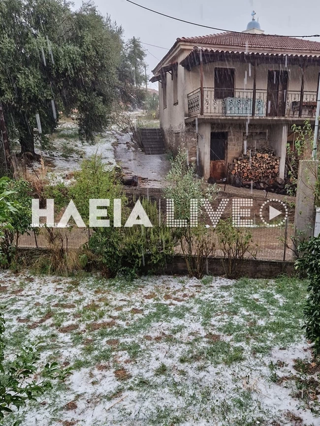 Ηλεία