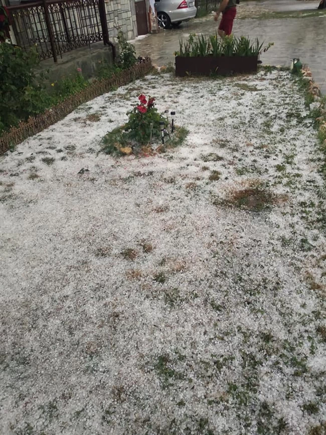 κοζανι