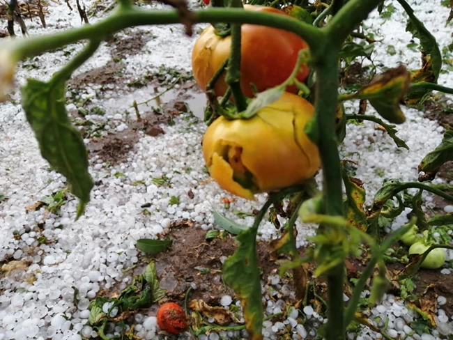 Απίστευτη χαλαζόπτωση το απόγευμα της Τρίτης στην Κοζάνη [Βίντεο-φωτογραφίες]